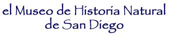 [El Museo de Historia Natural de San Diego]