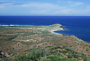 Photo of Isla Espiritu Santo, Brad Hollingsworth © 2000 SDNHM