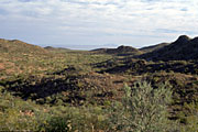 Photo of interior of Tiburon Island, Brad Hollingsworth,  © 2000 SDNHM