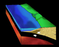 [diagram of Middle Eocene Epoch, Brad Riney © 2000 SDNHM