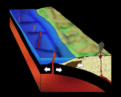 [diagram of Late Oligocene Epoch, Brad Riney © 2000 SDNHM