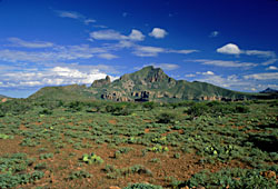 Sierra de San Francisco, photo by Brad Hollingsworth, © 2000 SDNHM