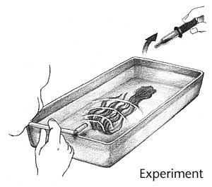 sketch showing child blowing across the surface with a straw and the colored ice water welling up