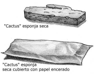 dibujos de esponjas secándose, una de ellas con una cubierta de papel encerado