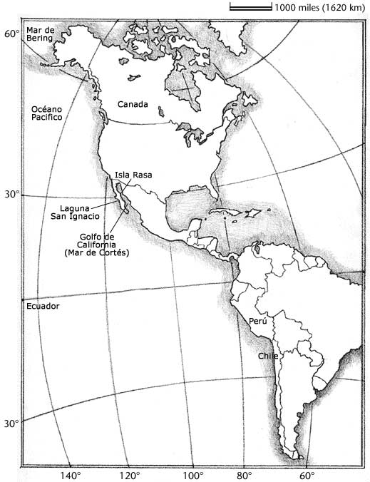 [Mapa de Hemisferio Occidental]